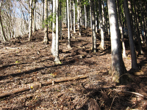 20200110hike (12)
